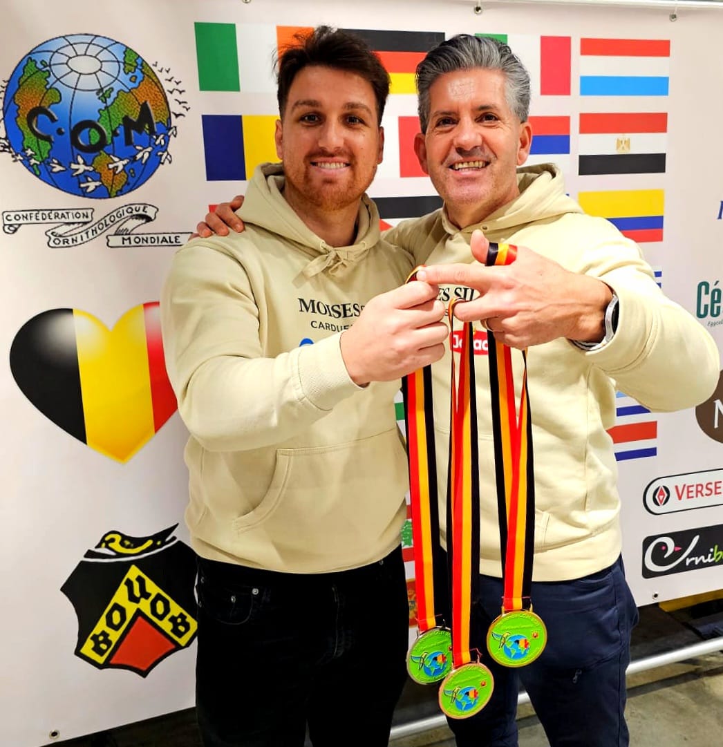 GOLD, SILVER AND BRONZE AT WORLDCHAMPIONSHIP MARCHE-EN-FAMENNE 2026, BELGIUM.